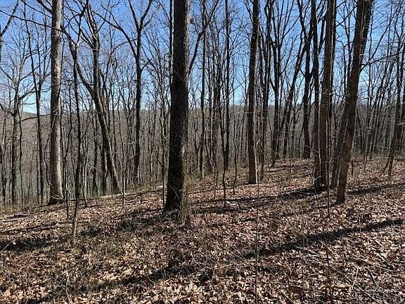 4th image of 7.1 Sunbeam Lake Loop Rd