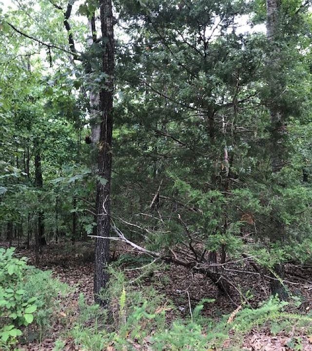 1st image of LOT 43 Byhalia Trl Lot 43