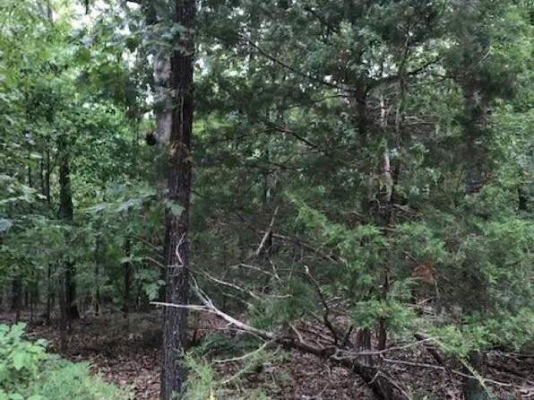 LOT 43 Byhalia Trl Lot 43, Ash Flat, AR 72513