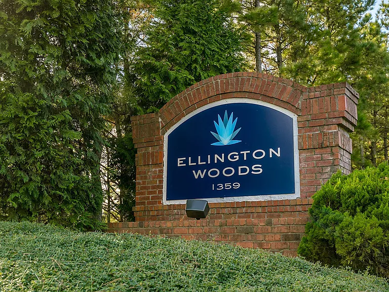 Ellington Woods — Photo 26