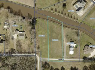 43020 Angel Ln, Gonzales, LA 70737