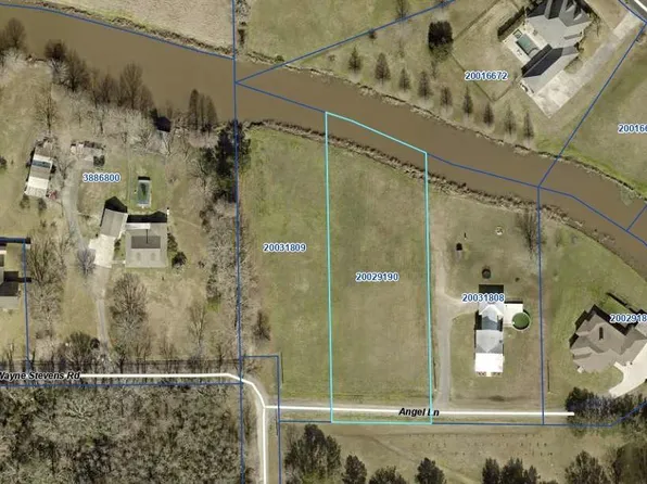 43020 Angel Ln, Gonzales, LA 70737