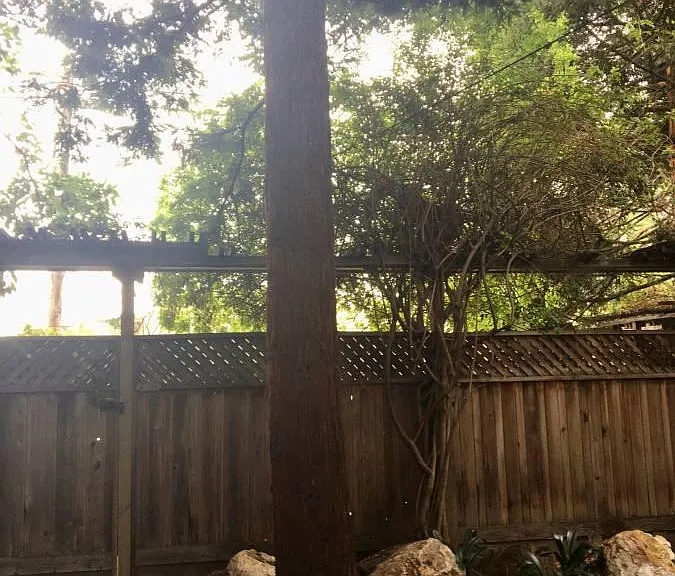 5254 Claremont Ave — Photo 8