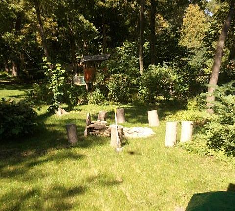 Fire pit in back yard