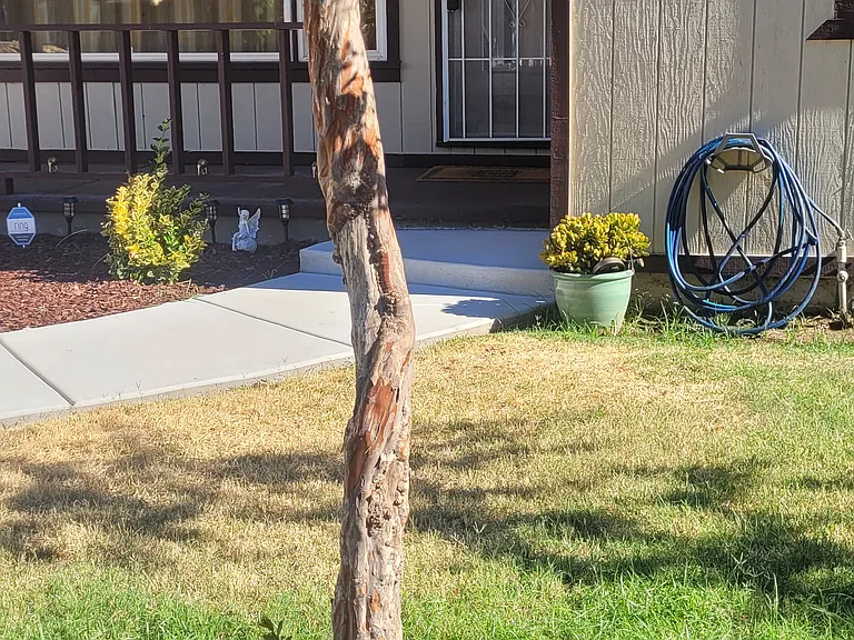 1725 Nogales St — Photo 3