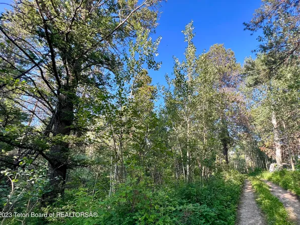 250 Wolverine Way, Tetonia, ID 83452