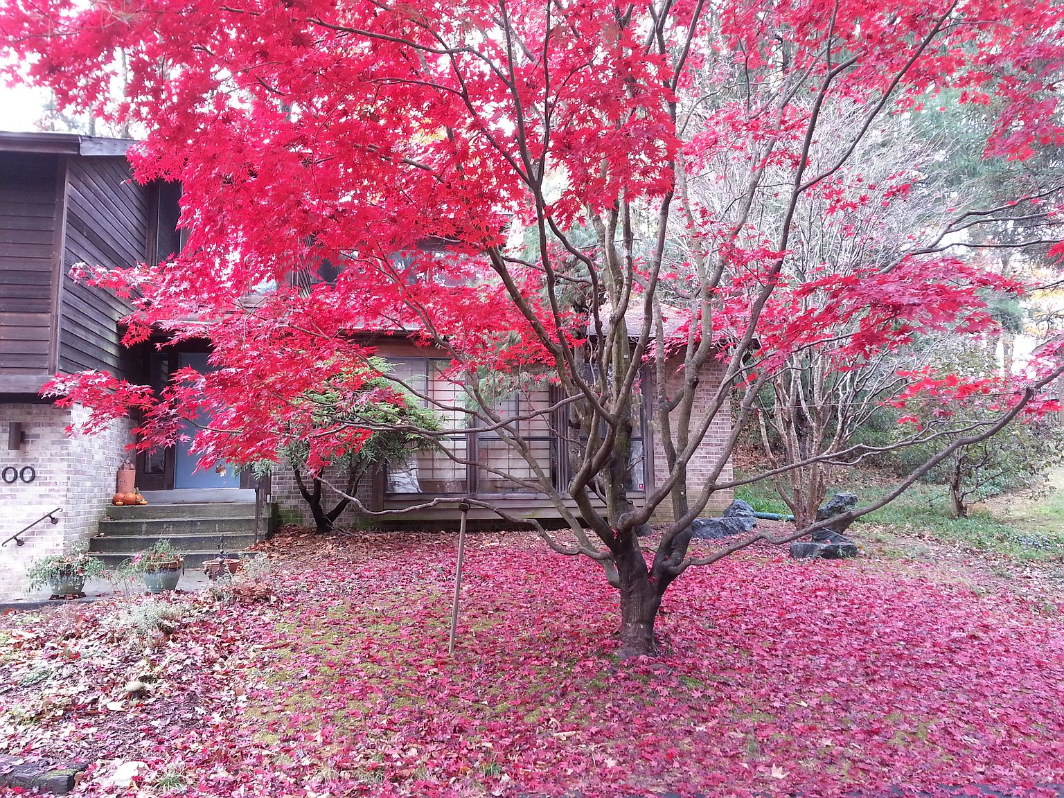 6600 Persimmon Tree Rd, Bethesda, MD 20817 Zillow