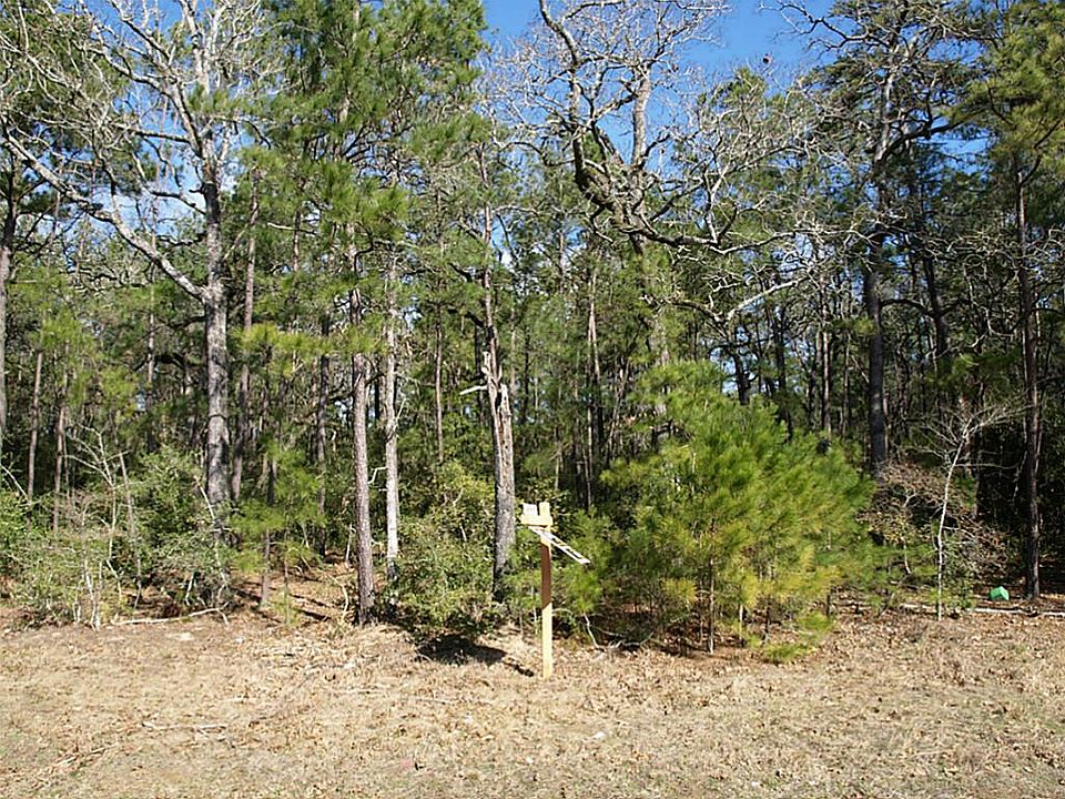 Wooded lot has evidence of some underbrushing years ago.