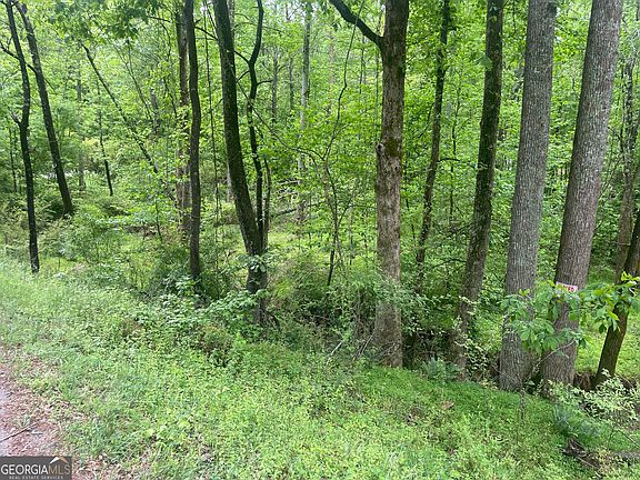 3rd image of 0 Luther Palmer Rd
