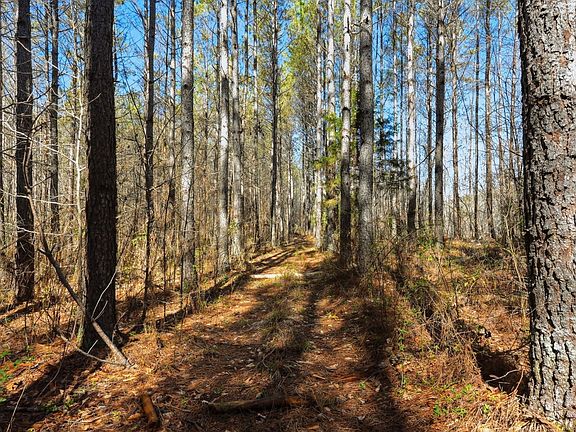 2nd image of 0 Fowler Rd