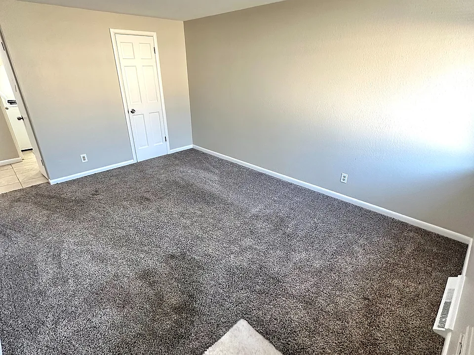Inviting room with plush carpet, neutral walls, and bright lighting, ideal for a cozy living space.