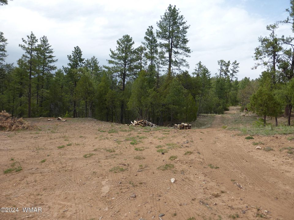 1st image of 3598 Pine Needle Dr