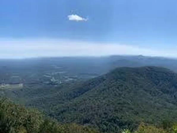 176 Soaring Hawk Trl #3, Cleveland, GA 30528