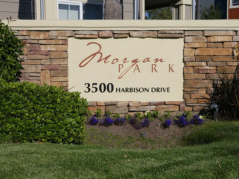 Morgan Park — Photo 5