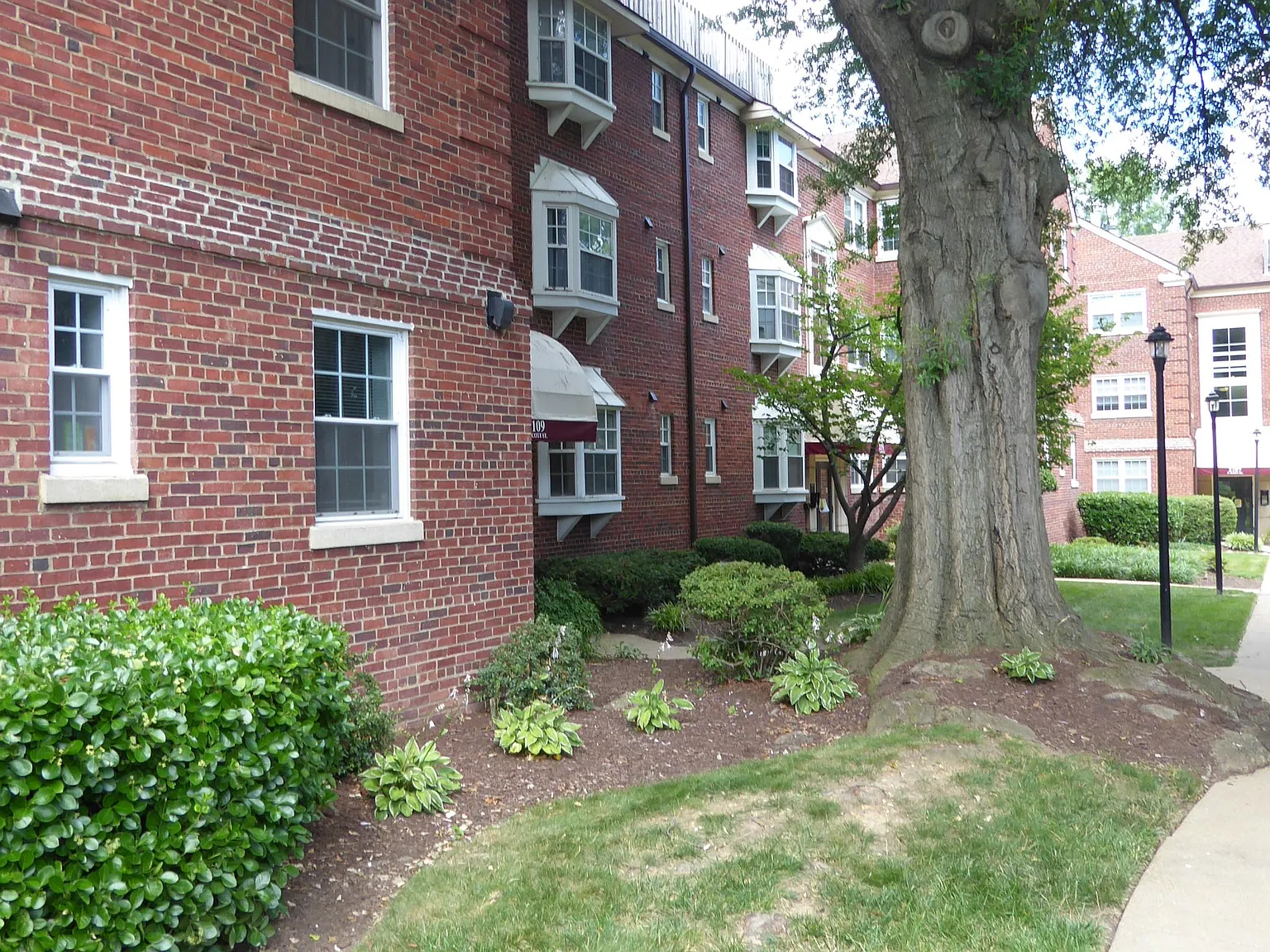 1 bed, 539 sqft, $1,950 — Photo 1