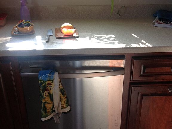 New Appliances in 2010. 