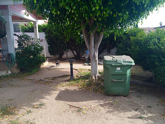 Front yard