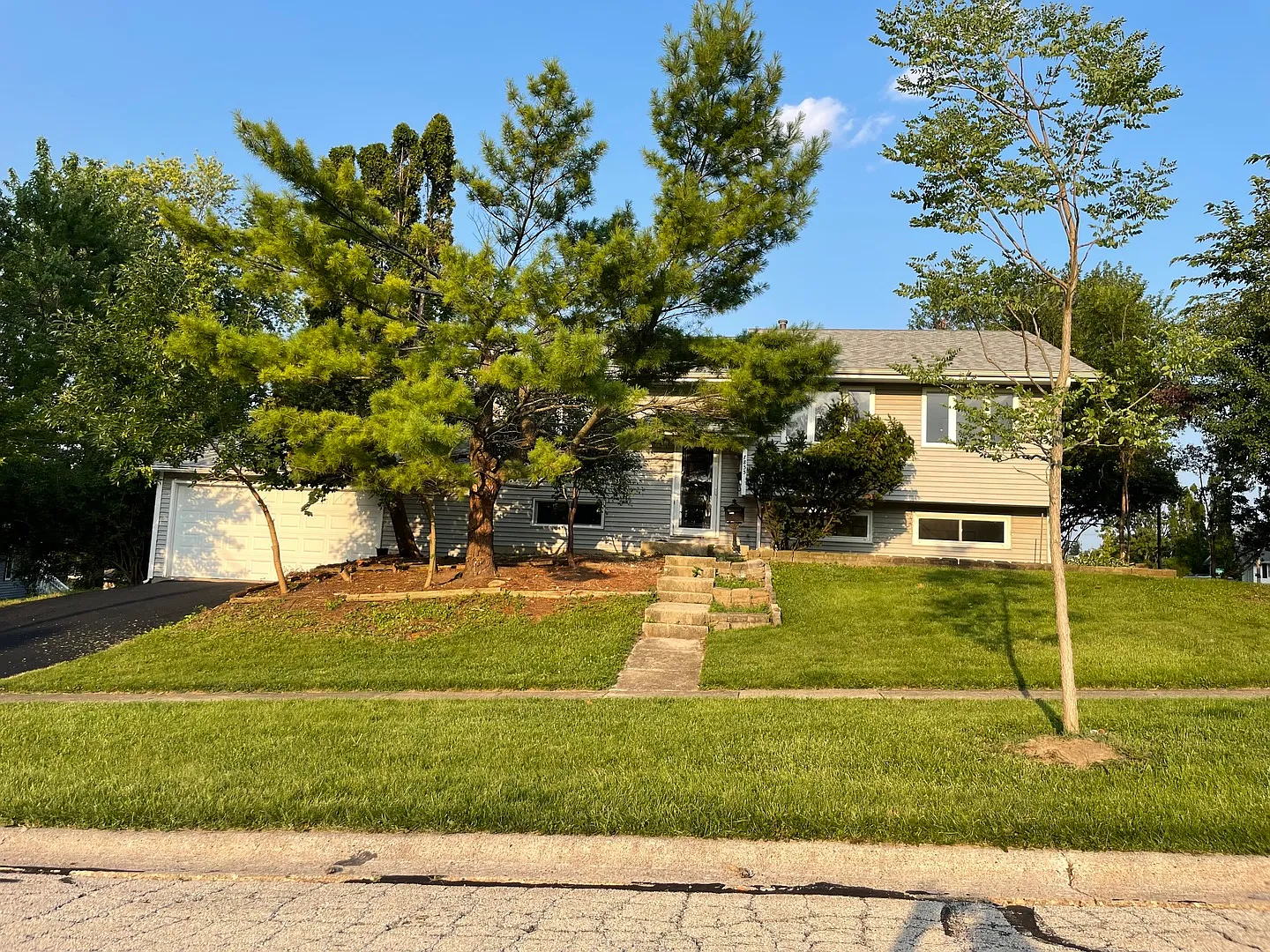 7835 Jonquil Ln photo 1