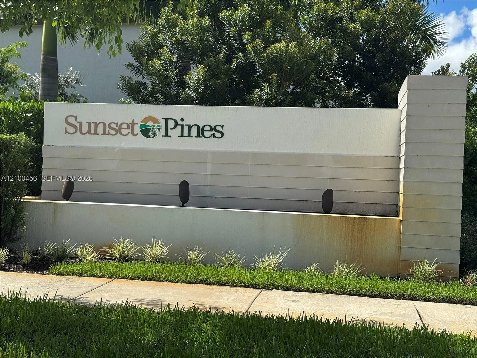 Sunset Pines — Photo 1