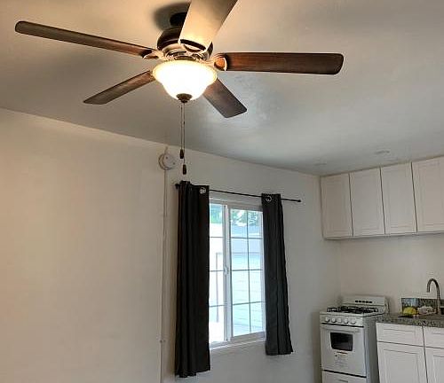 Ceiling fan