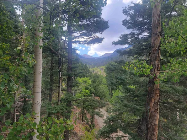 15 Coyote Ln, Taos Ski Valley, NM 87525