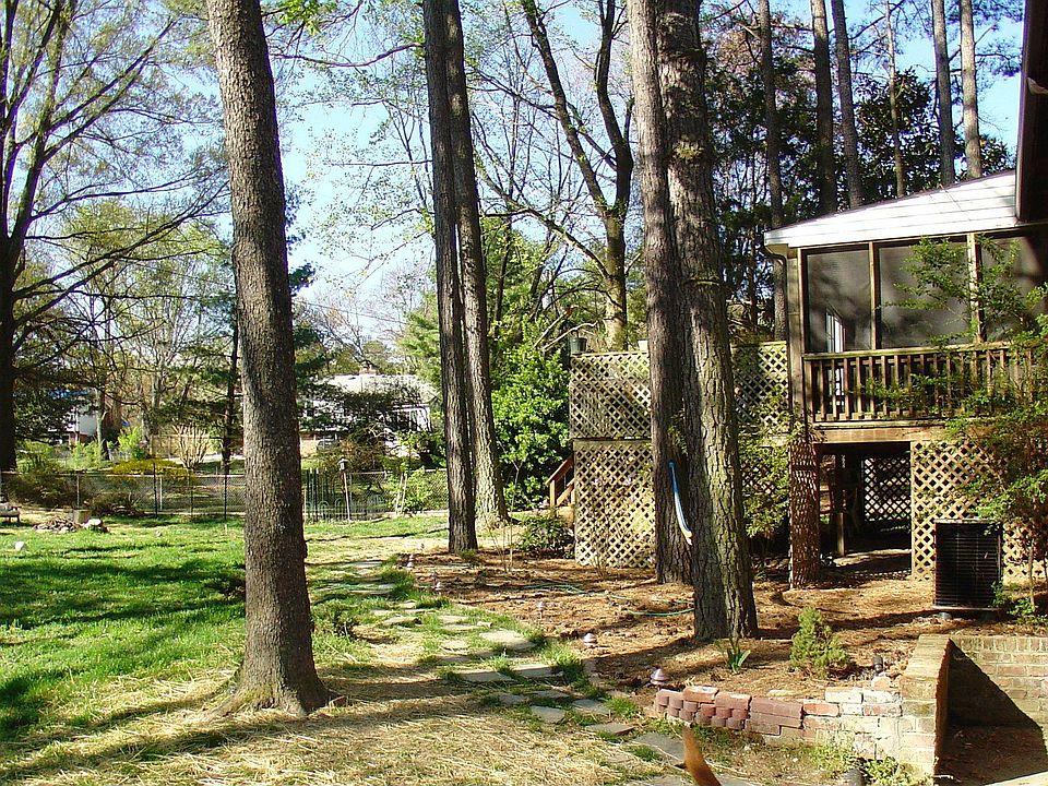 Backyard!