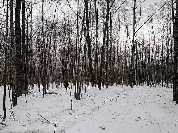 3rd image of 5 Log Lodge Rd