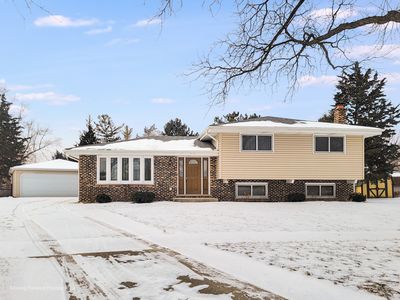 539 W Eggerding Dr, Addison, IL, 60101