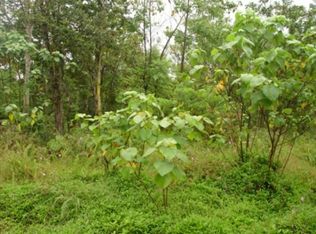S Manalo St, Pahoa, HI 96778