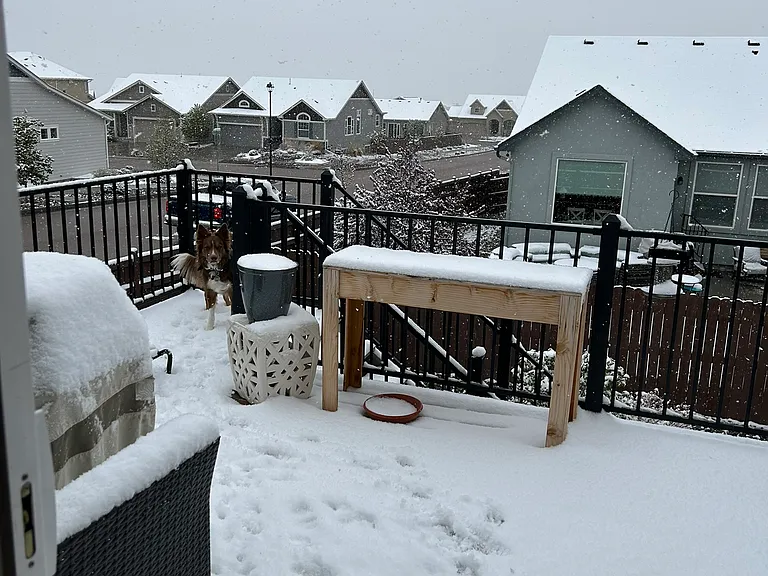 11108 Crisp Air Dr — Photo 22