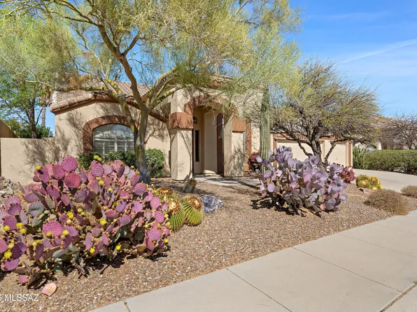 170 W Milbrae Springs Dr, Oro Valley, AZ 85755