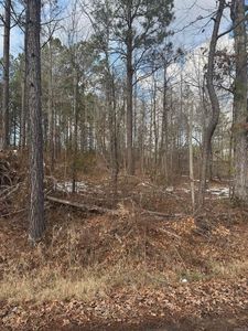 0 Carolyn Ln, Mabelvale, AR, 72103