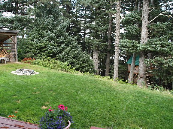 Backyard, Fire pit, Treehouse