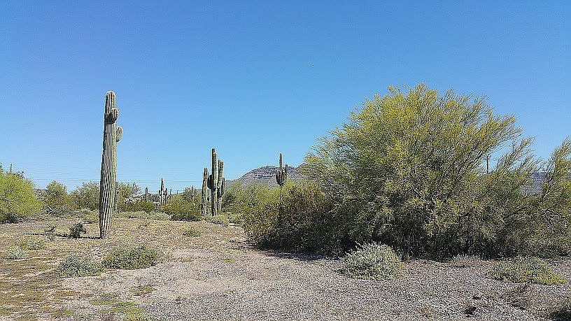 1st image of 1242 N 102nd Way