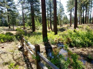 292 E Jeffrey Pine Rd, Reno, NV 89511