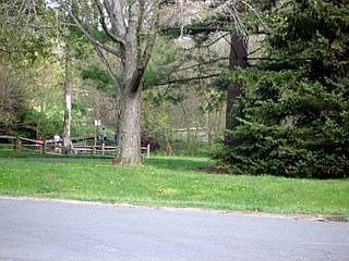 100 Acre Park Across Street