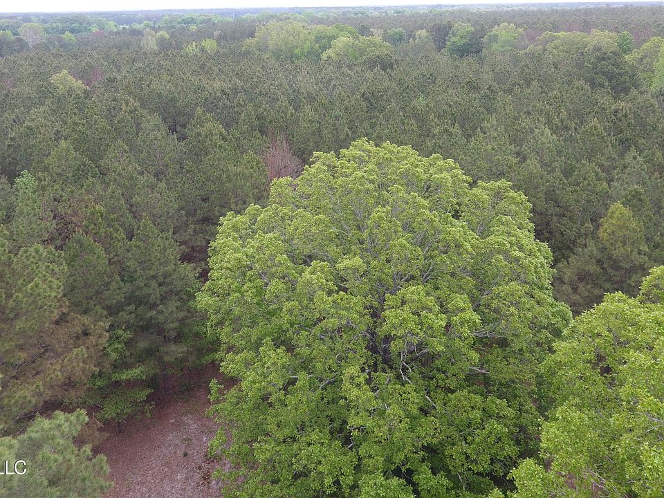 Lone Pine Church Rd, Lena, MS 39094 MLS 4077096 Zillow