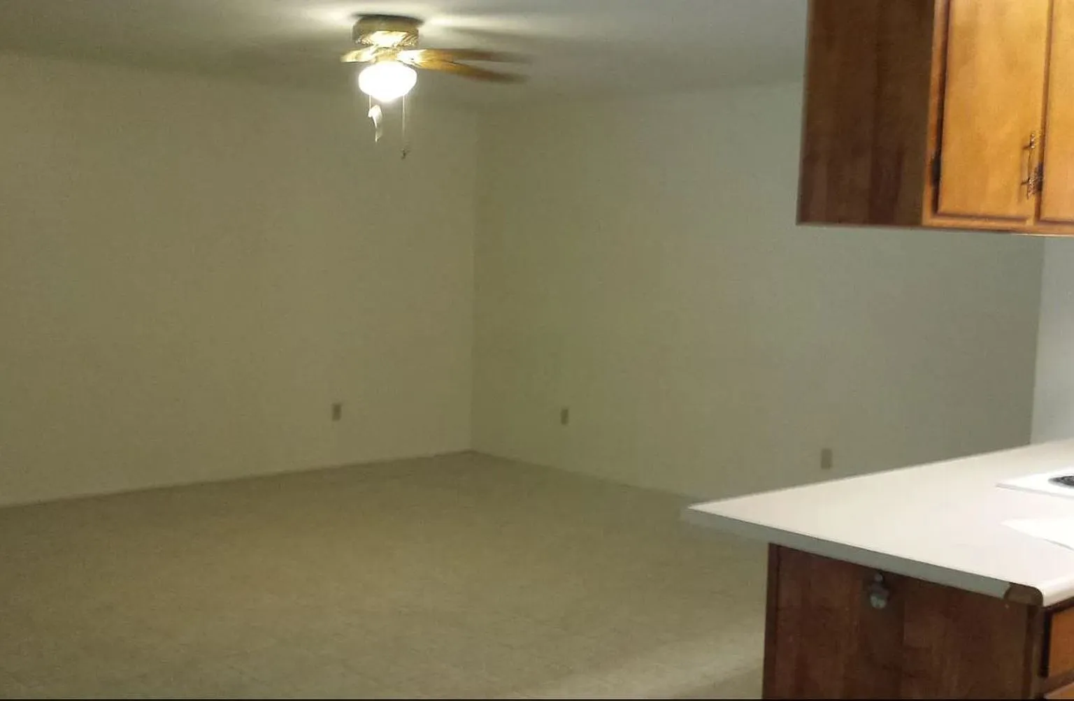 3/2 House in NE Tallahassee! Available Mid-November! — Photo 4