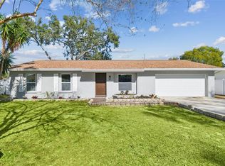 1204 Branda Vista Dr, Brandon, FL 33510