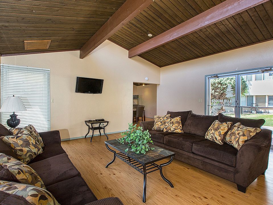 Fir Tree_CS_Spring2014_02