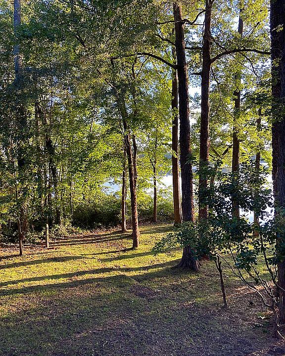2nd image of 2913 Cove Ridge Trce