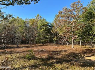 L31 Gulf Hill Road, East Berne, NY 12059