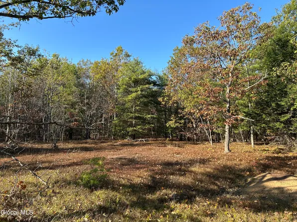 L31 Gulf Hill Road, East Berne, NY 12059