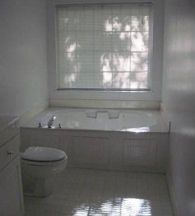 Garden Tub in Master Bath