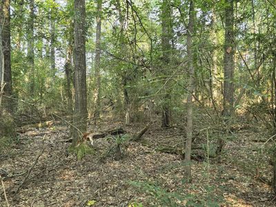 0 Alabama St, Roxie, MS, 39661