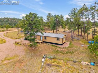 55 Arapahoe Dr, Florissant, CO 80816