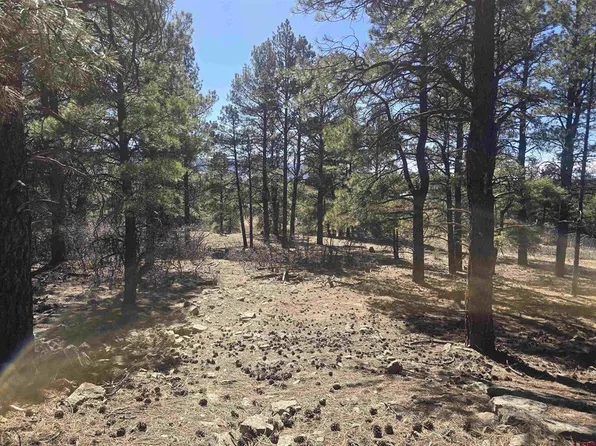 96 Woodridge Circle, Pagosa Springs, CO 81147