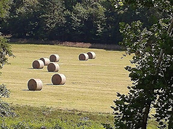 5th image of 8101 County Road 5130