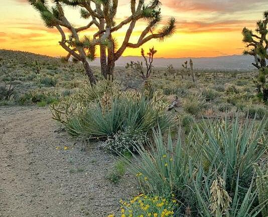 2nd image of - Lake Mohave Ranchos lot 357 -- #357