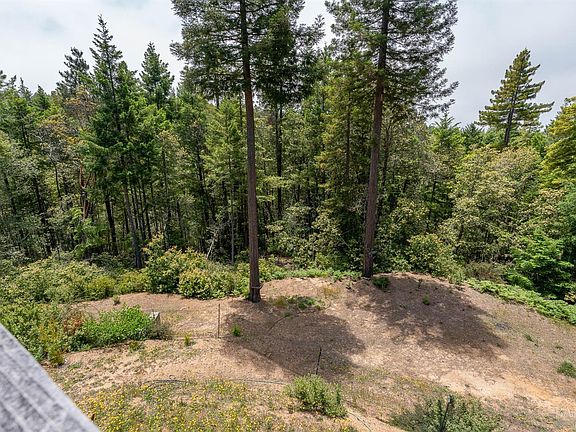 5th image of 35721 Timberwood Way